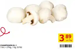 Transgourmet Champignon kl.1 Angebot