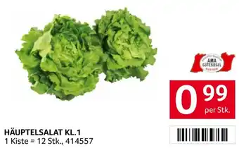 Transgourmet Häuptelsalat kl.1 Angebot