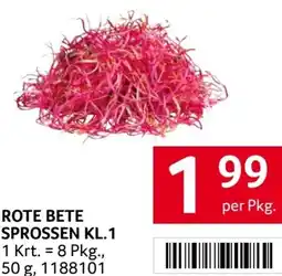 Transgourmet Rote bete sprossen kl.1 Angebot