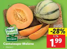 Lidl Cantaloupe-Melone Angebot