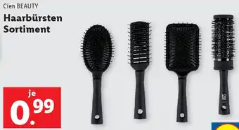 Lidl Haarbürsten Sortiment Angebot