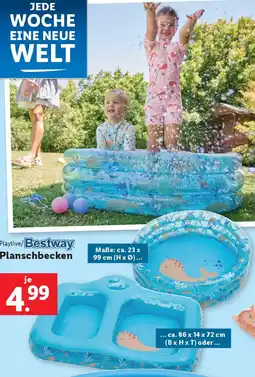 Lidl Planschbecken Angebot