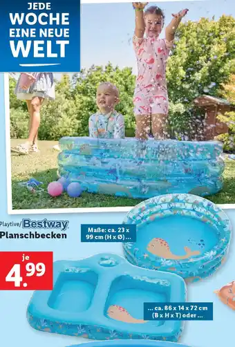 Lidl Planschbecken Angebot