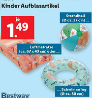Lidl Kinder Aufblasartikel Angebot