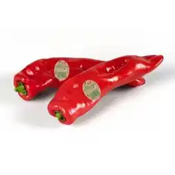 Billa ja!natürlich Bio-Spitzpaprika Angebot