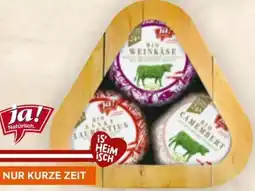 Billa ja!natürlich Bio-Weichkäse-Trio Angebot