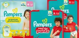 Billa Pampers Premium Protection Windeln Angebot