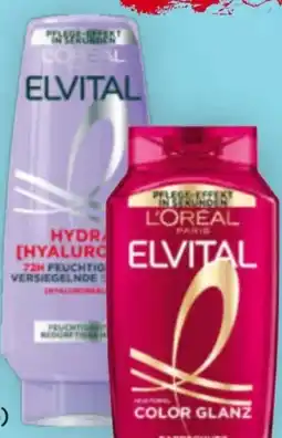 Billa L'Oréal Paris Elvital Shampoo Angebot