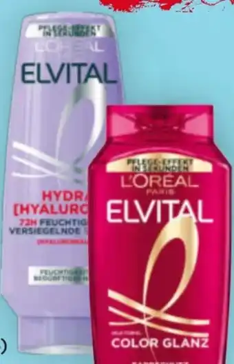 Billa L'Oréal Paris Elvital Shampoo Angebot