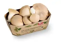 Billa ja!natürlich Bio-Kräuterseitlinge Angebot