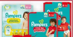 Billa Pampers Premium Protection Windeln Angebot