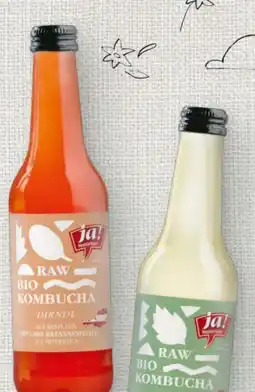 Billa ja!natürlich Bio-Kombucha Angebot