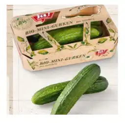 Billa knackige Bio-Mini-Gurken BILLA Angebot