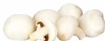 Transgourmet Champignons Angebot