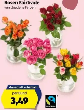 Hofer Rosen Fairtrade Angebot