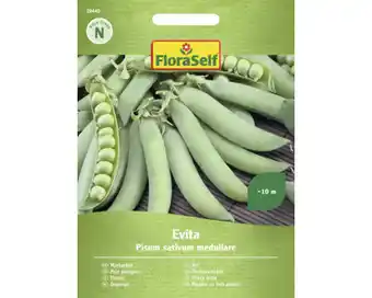 Hornbach Gemüsesamen FloraSelf Erbsen 'Evita' Angebot