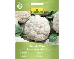 Hornbach Gemüsesamen FloraSelf Karfiol 'Bola de Neve' Angebot