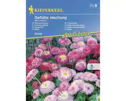 Hornbach Blumensamen Kiepenkerl Gänseblümchen 'Gefüllte Mischung' Angebot