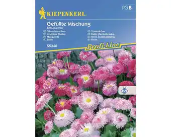 Hornbach Blumensamen Kiepenkerl Gänseblümchen 'Gefüllte Mischung' Angebot