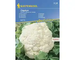 Hornbach Gemüsesamen Kiepenkerl Karfiol 'Clapton' Angebot