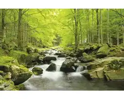 Hornbach Fototapete Papier SoFototapete Water Stream 350 x 260 cm Angebot