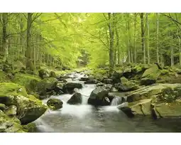 Hornbach Fototapete Papier Forrestlake Metalleffekt 350 x 260 cm Angebot