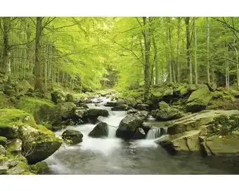 Hornbach Fototapete Papier Forrestlake Metalleffekt 350 x 260 cm Angebot