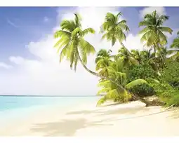 Hornbach Fototapete Papier 97709 Palmtree Metalleffekt 7-tlg. 350 x 260 cm Angebot