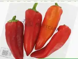 ETSAN Paprika Kapya Angebot