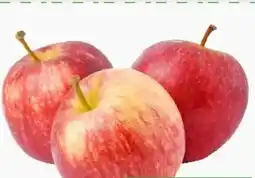 ETSAN Äpfel Gala Angebot