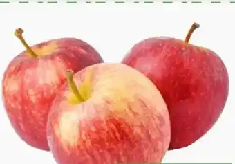 ETSAN Äpfel Gala Angebot
