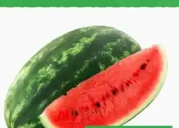 ETSAN Wassermelone Angebot
