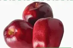 ETSAN Apfel Red Delicious Angebot