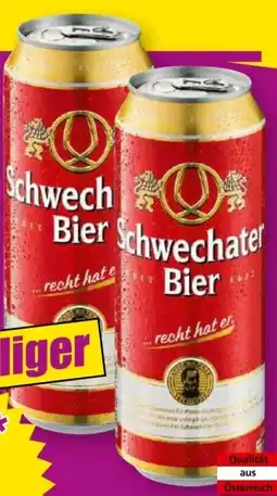 Norma Schwechater Bier Angebot