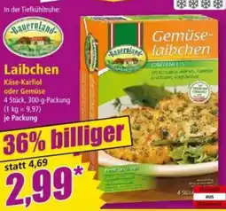Norma Laibchen Angebot