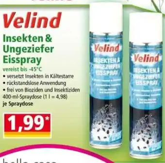 Norma Insekten-Ungeziefer Eisspray Angebot