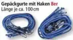 Norma Gepäckgurte mit Haken Angebot