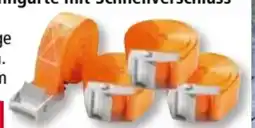 Norma Kraft Werkzeuge Spanngurte-Set Angebot