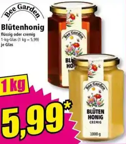 Norma Blütenhonig Angebot