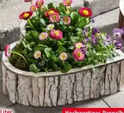 Norma Powertec Garden Holz-Pflanzherz Angebot