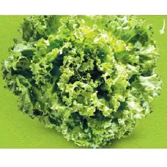 Hofer Bio-Spezialsalat aus Österreich HOFER Angebot