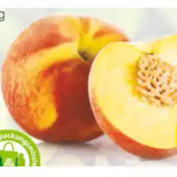 Hofer Pfirsiche HOFER Angebot