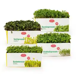Hofer Bio-Kresse/Sprossen HOFER Angebot