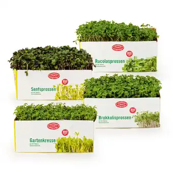 Hofer Bio-Kresse/Sprossen HOFER Angebot