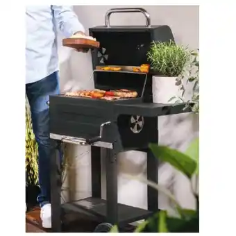 Hofer Holzkohlegrill Mason S HOFER Angebot