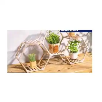 Hofer Pflanzregal aus Holz HOFER Angebot