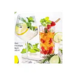 Hofer Gin Gläser div. Sorten HOFER Angebot