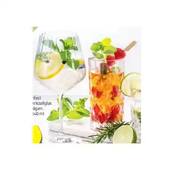 Hofer Gin Gläser div. Sorten HOFER Angebot