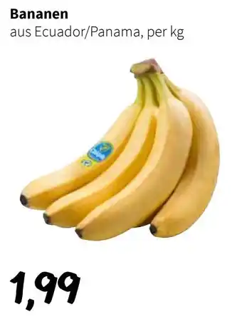 Der Grissemann Bananen Angebot