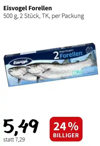 Der Grissemann Eisvogel Forellen Angebot